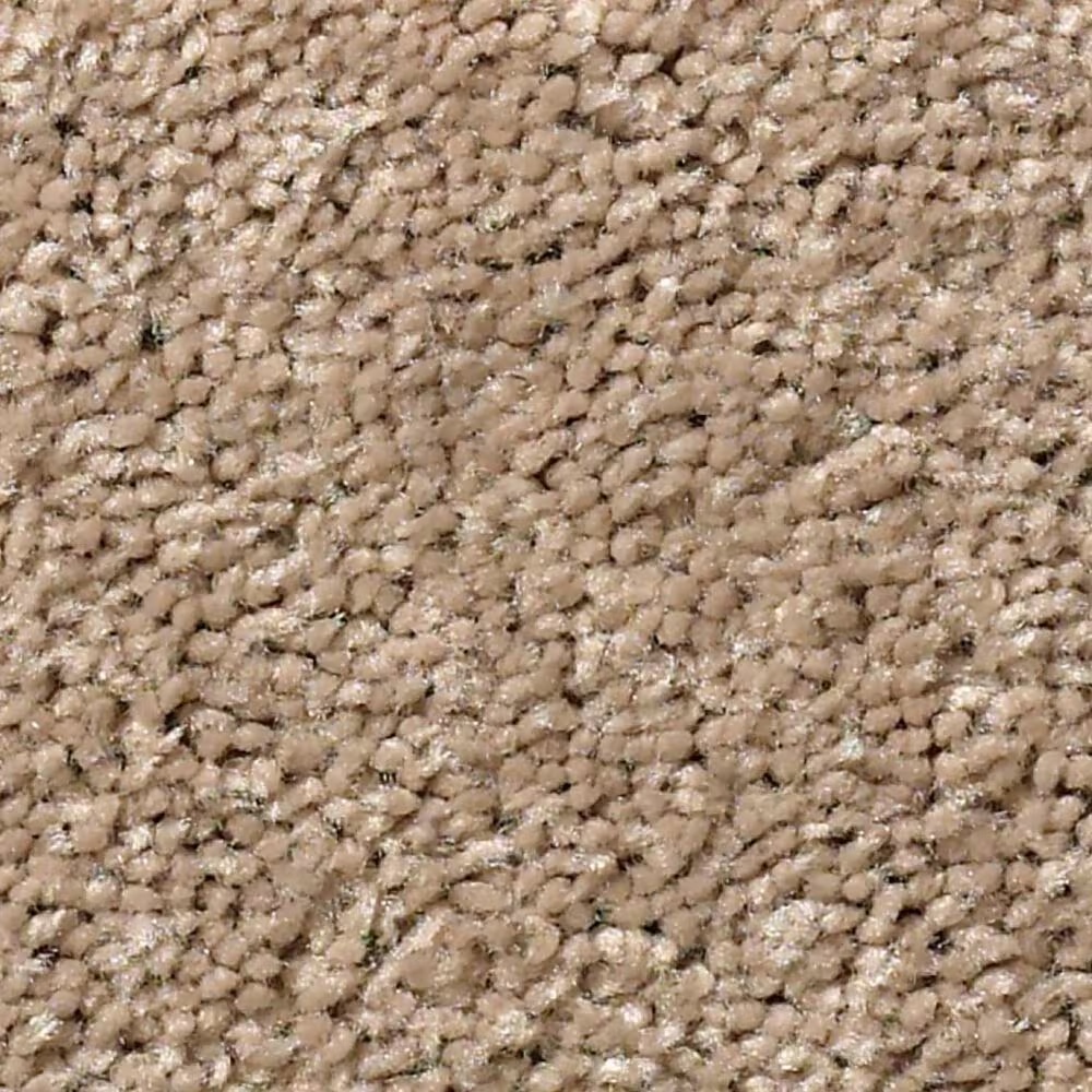 Shaw Cabana Bay Solid Carpet in Camel
