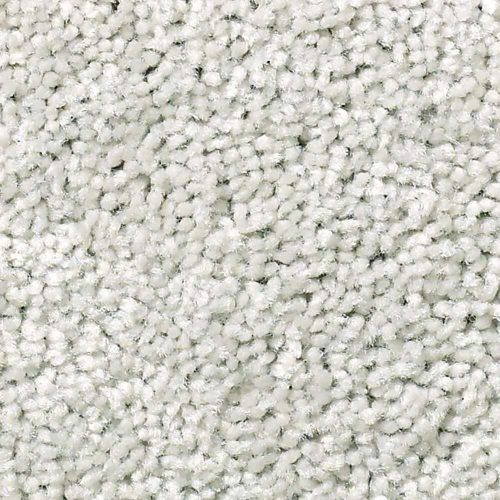 Shaw Cabana Bay Solid Carpet in Ice