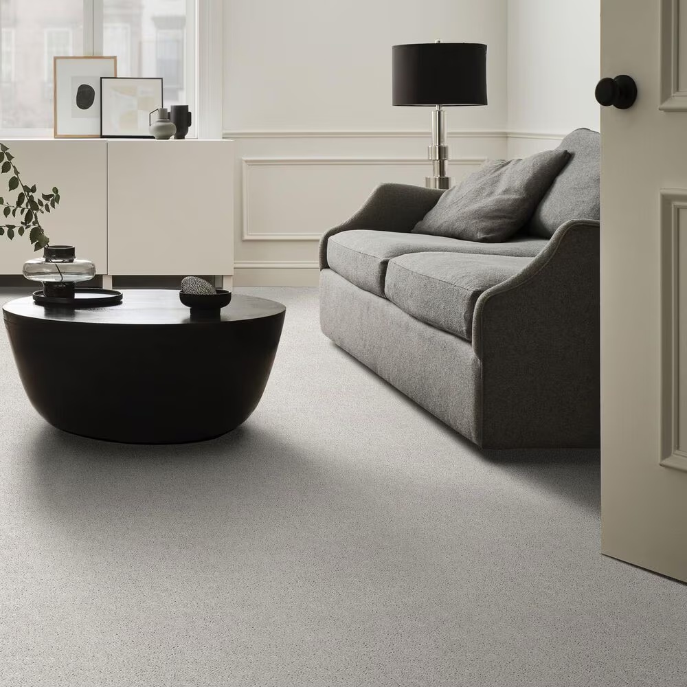 38621-shaw-cabana-bay-solid-carpet-in-ice-1.jpg