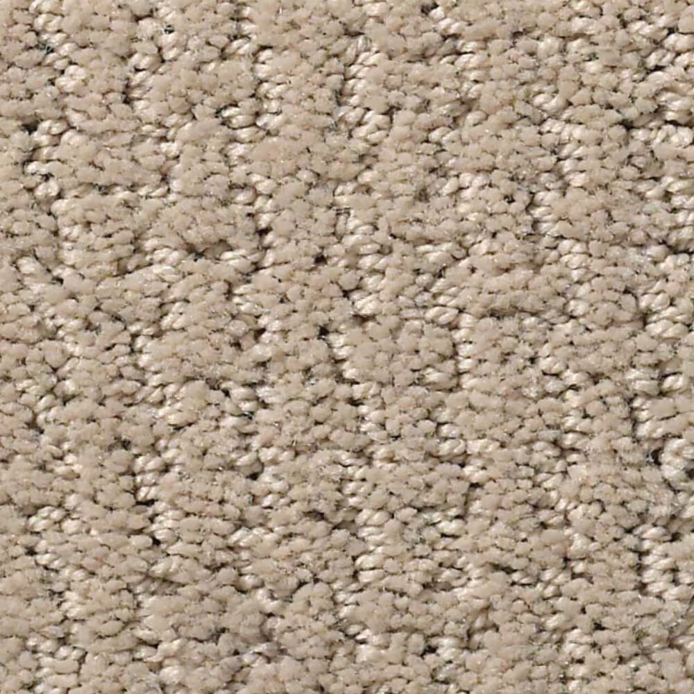 Shaw Warm Memories Carpet in My Haven