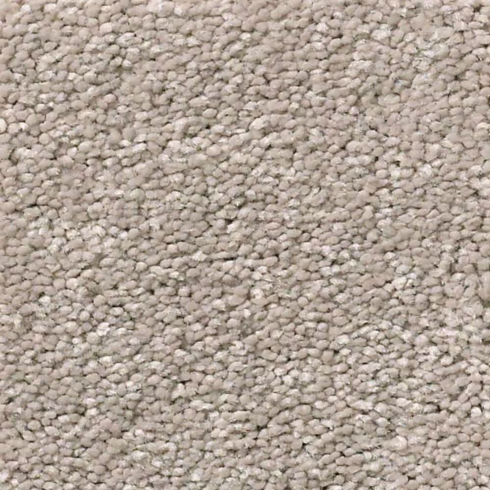 Shaw Momentum II Carpet in Boutique