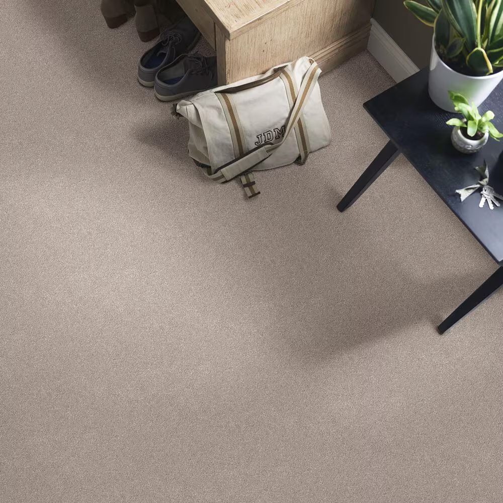 38624-shaw-momentum-ii-carpet-in-boutique-1.jpg