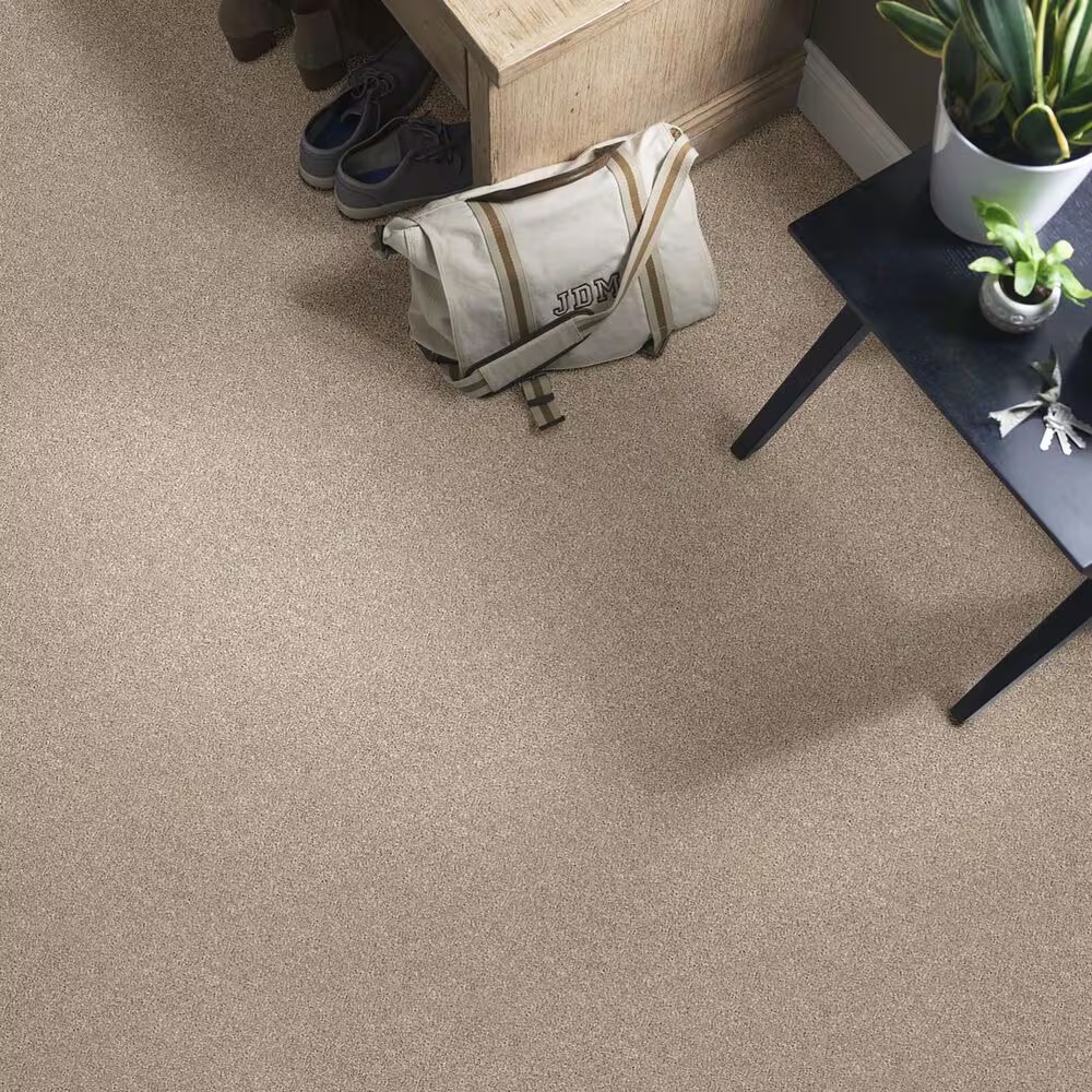 38625-shaw-momentum-ii-carpet-in-high-beam-1.jpg