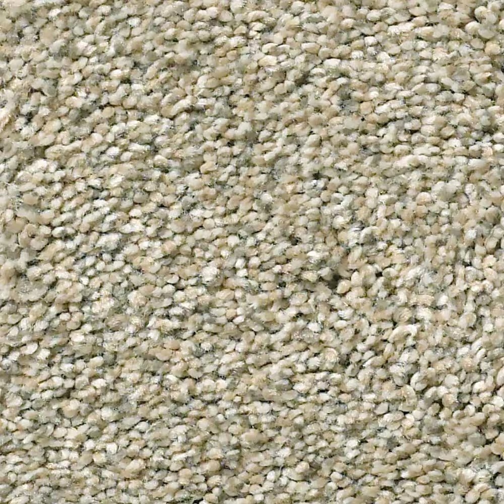 Shaw Momentum II Carpet in Plaza