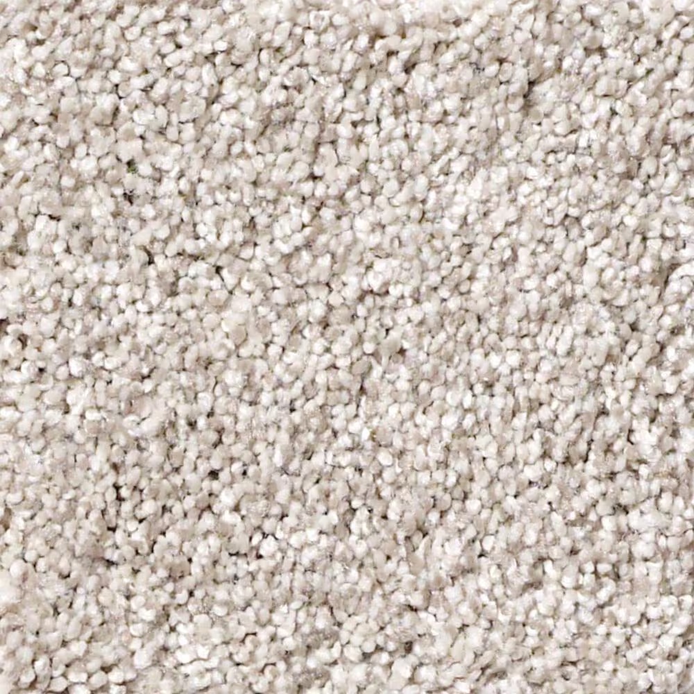 Shaw Foundations Take The Floor Tonal II Carpet in Statuary