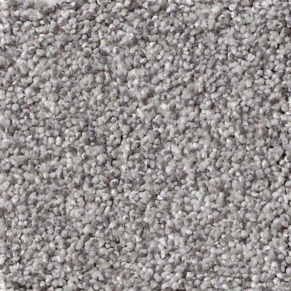 Shaw Foundations Take The Floor Tonal II Carpet in Stellar