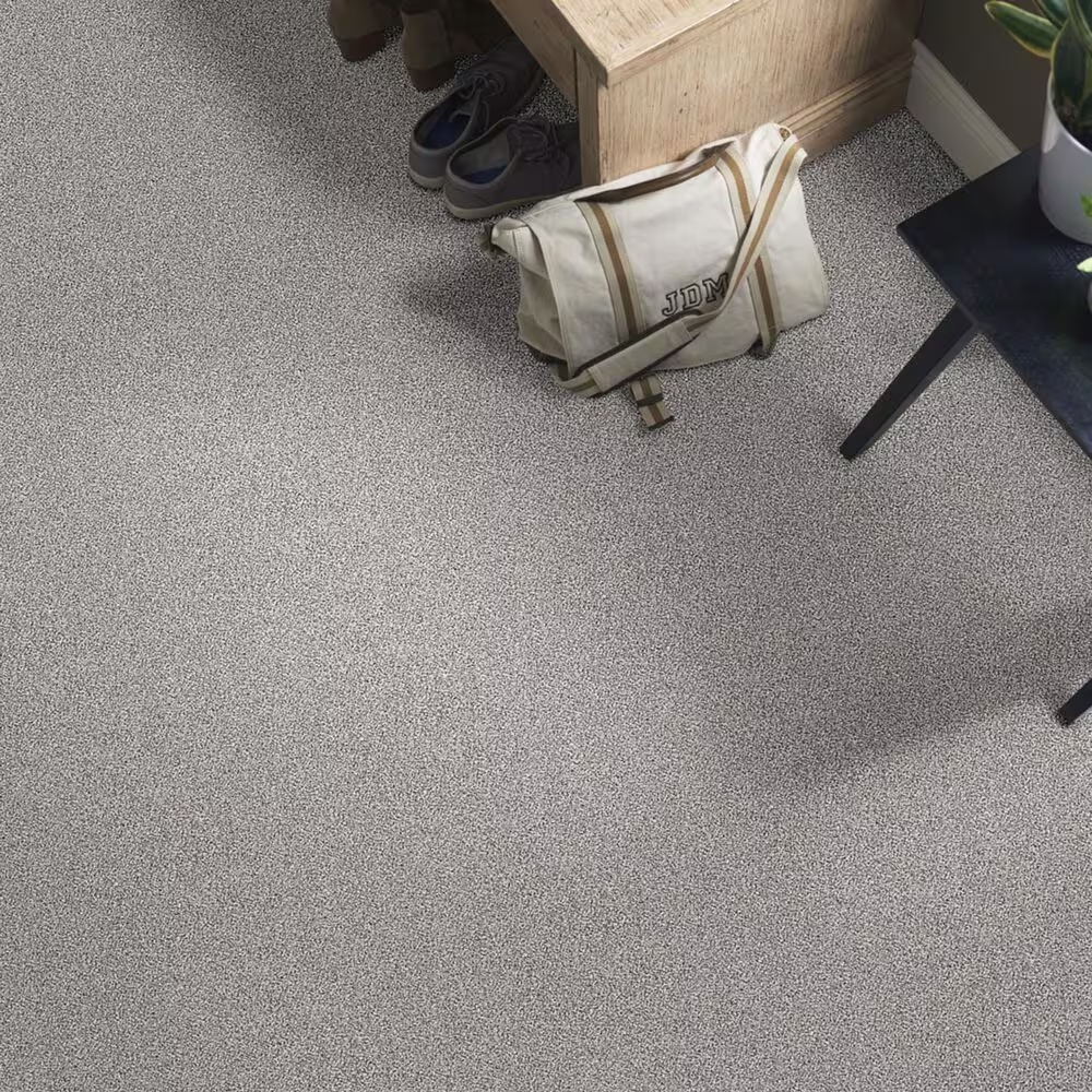 38632-shaw-foundations-take-the-floor-tonal-ii-carpet-in-stellar-1.jpg