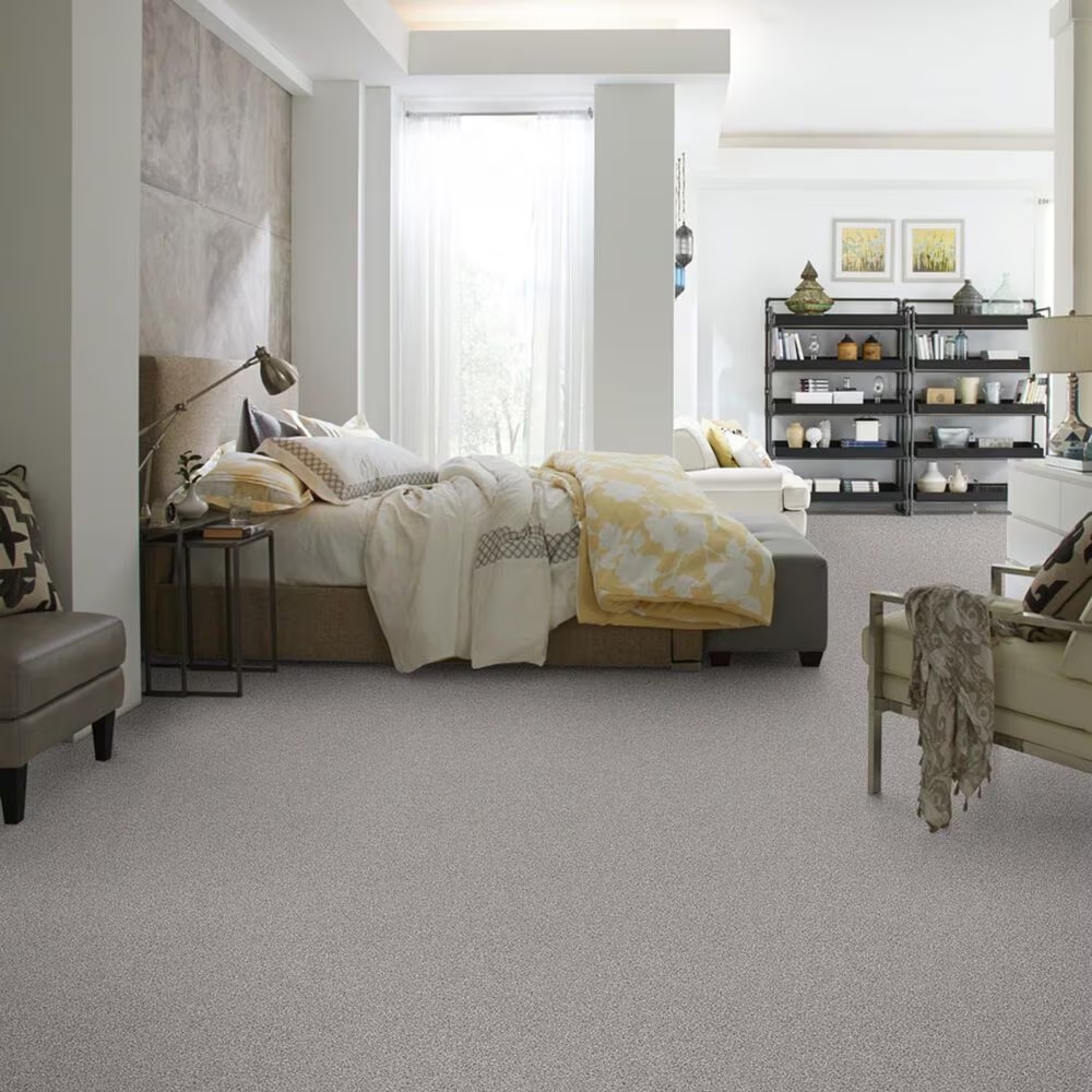 38632-shaw-foundations-take-the-floor-tonal-ii-carpet-in-stellar-1.jpg