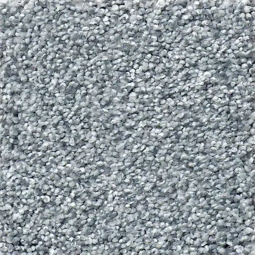 Shaw Find Your Comfort TT Blue Carpet in Dolphin Sighting