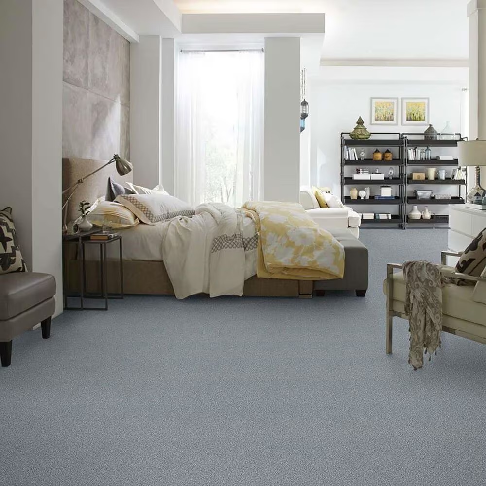 38639-shaw-find-your-comfort-tt-blue-carpet-in-dolphin-sighting-1.jpg