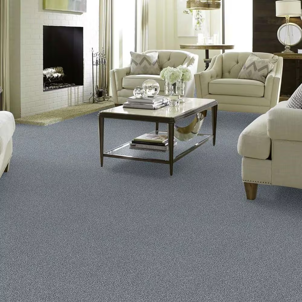38639-shaw-find-your-comfort-tt-blue-carpet-in-dolphin-sighting-1.jpg
