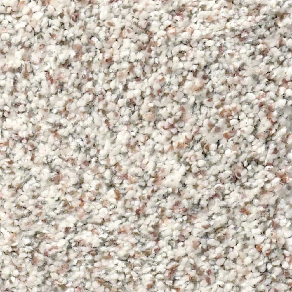 Shaw Find Your Comfort TA II Carpet in New Perspective