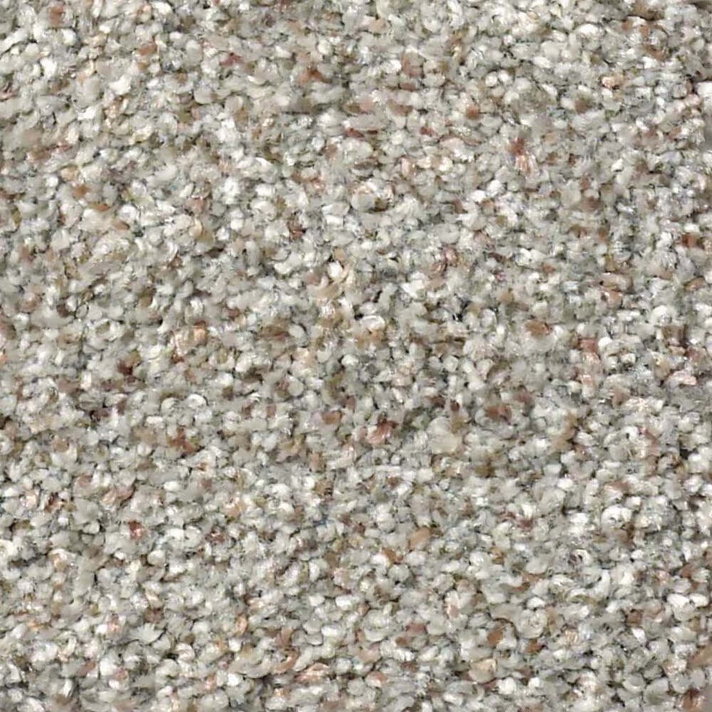 Shaw Find Your Comfort TA II Carpet in Long Bridge