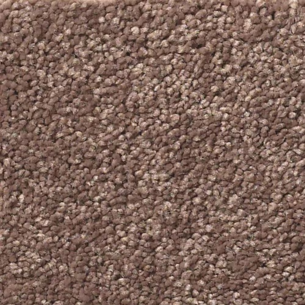 Shaw Simply the Best Momentum II Carpet in Farmhouse