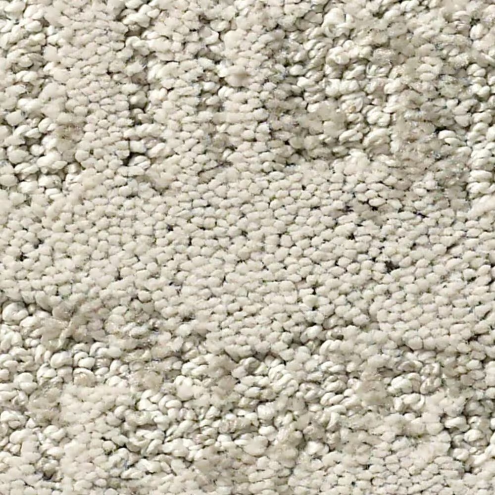 Anderson Tuftex Caress Resort Chic Carpet in Mist