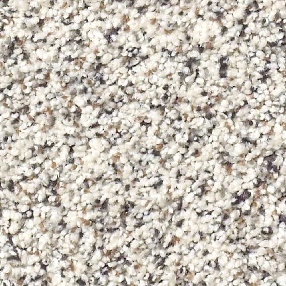 Shaw Find Your Comfort TA II Carpet in Front Row Seat