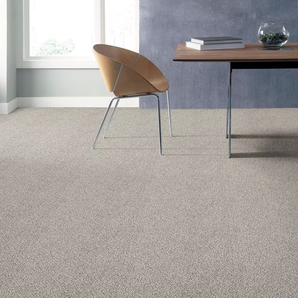 38675-shaw-find-your-comfort-ta-ii-carpet-in-front-row-seat-1.jpg