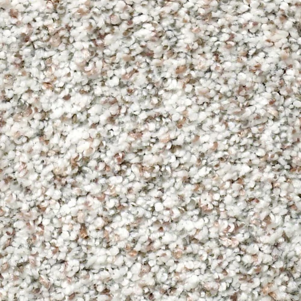 Shaw Find Your Comfort TA II Carpet in Let's Go