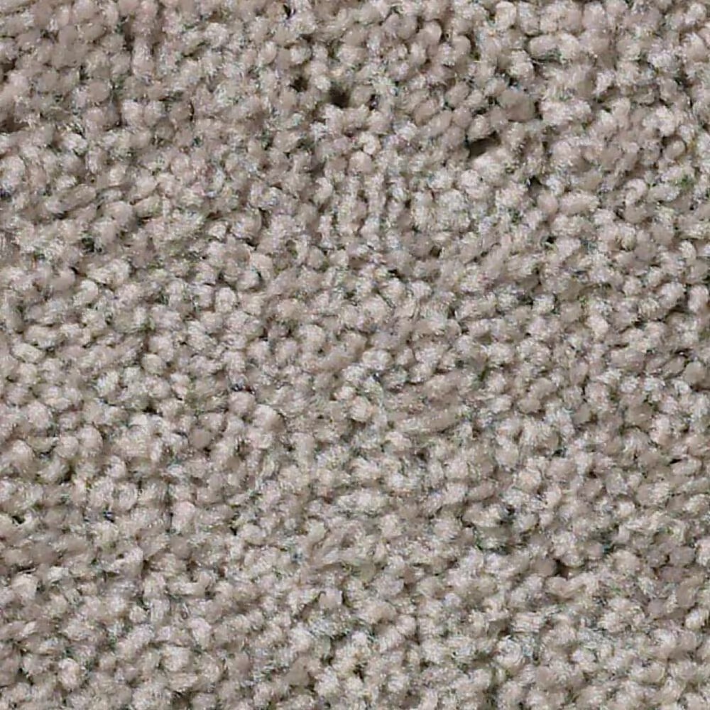 Shaw Cabana Bay Solid Carpet in Perfect Taupe