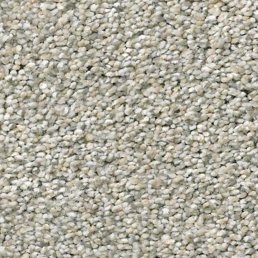 Shaw Simply the Best Momentum II Carpet in Moondance