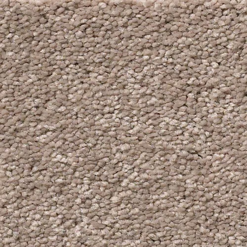 Shaw Simply the Best Momentum II Carpet in Canyon Buff