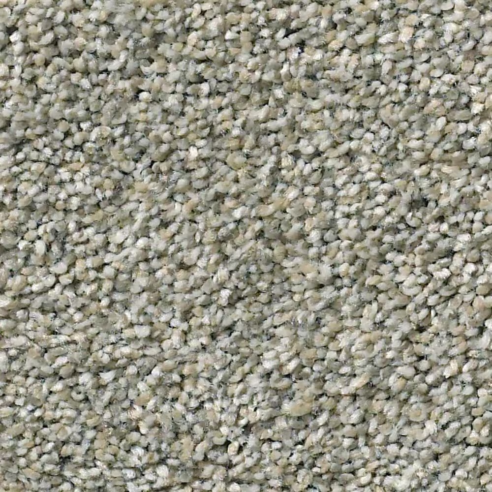 Shaw Simply the Best Momentum II Carpet in Rockslide
