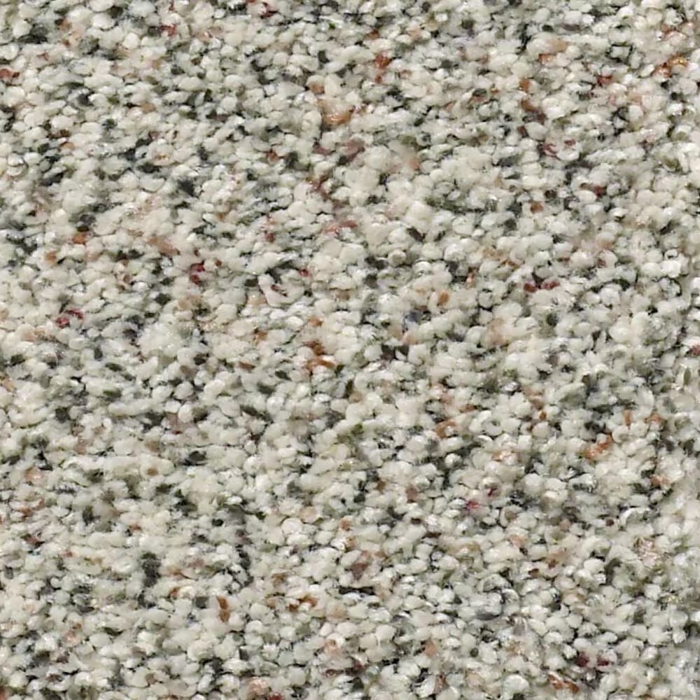 Shaw Find Your Comfort TA II Carpet in First Dance