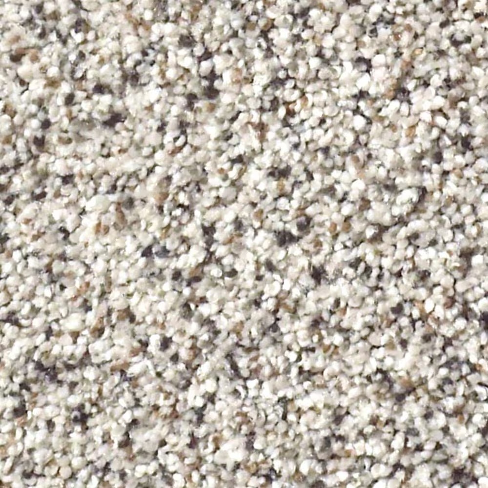 Shaw Find Your Comfort TA II Carpet in Lost Passport