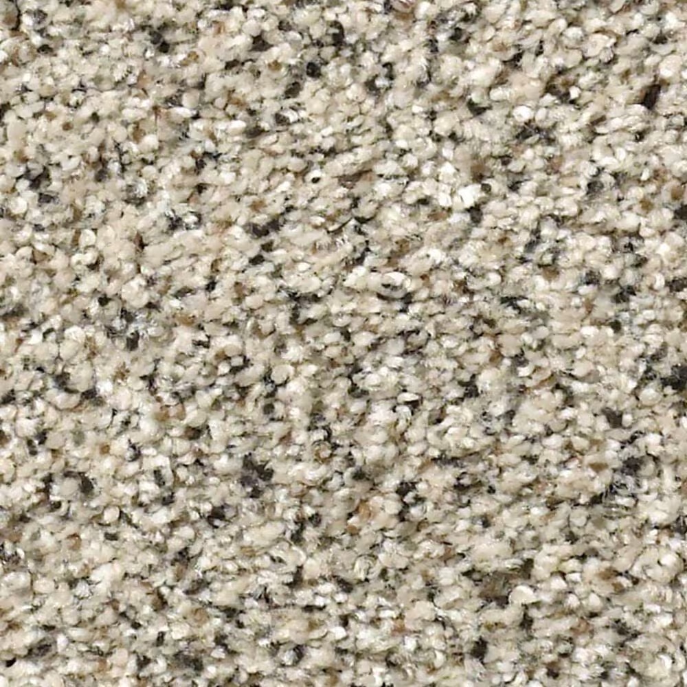 Shaw Sfa Find Your Comfort TA II Carpet in Online Date