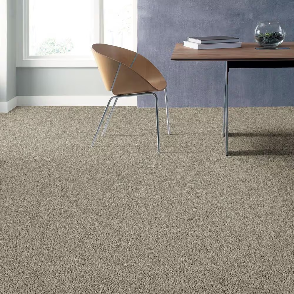 38699-shaw-sfa-find-your-comfort-ta-ii-carpet-in-online-date-1.jpg