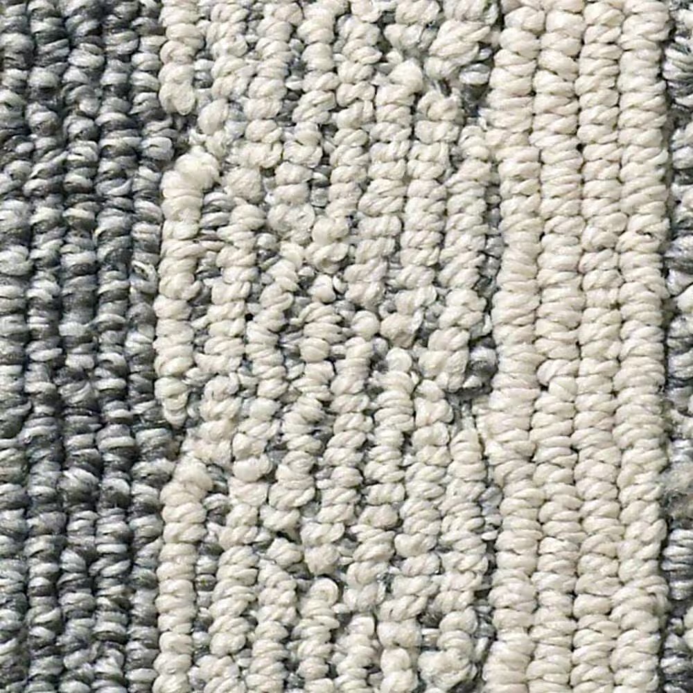 Anderson Tuftex Speak Carpet in Monument