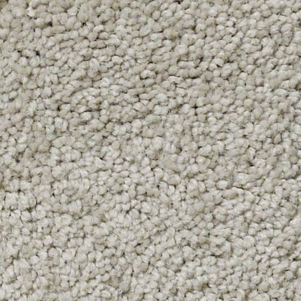 Anderson Tuftex Pawparazzi II Carpet in Mocha Cream