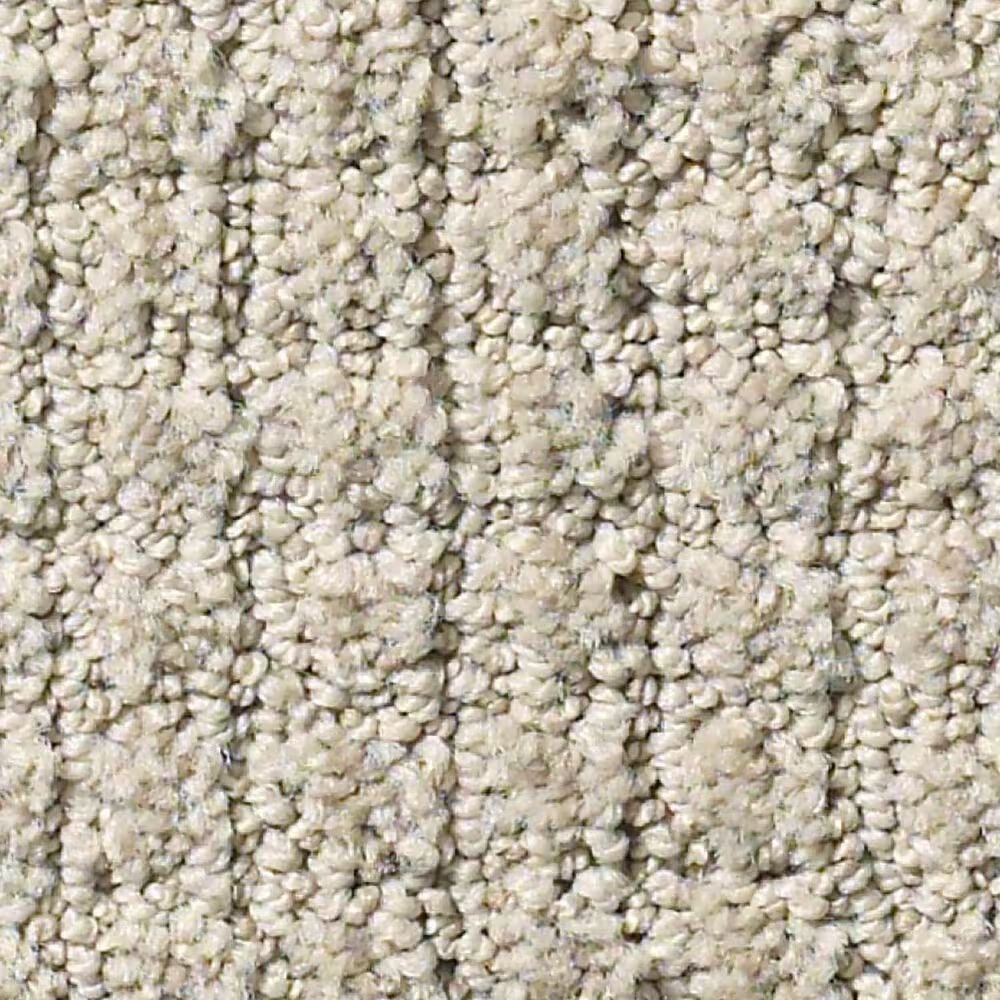 Shaw Foundations Aerial Arts Carpet in Natural Stone