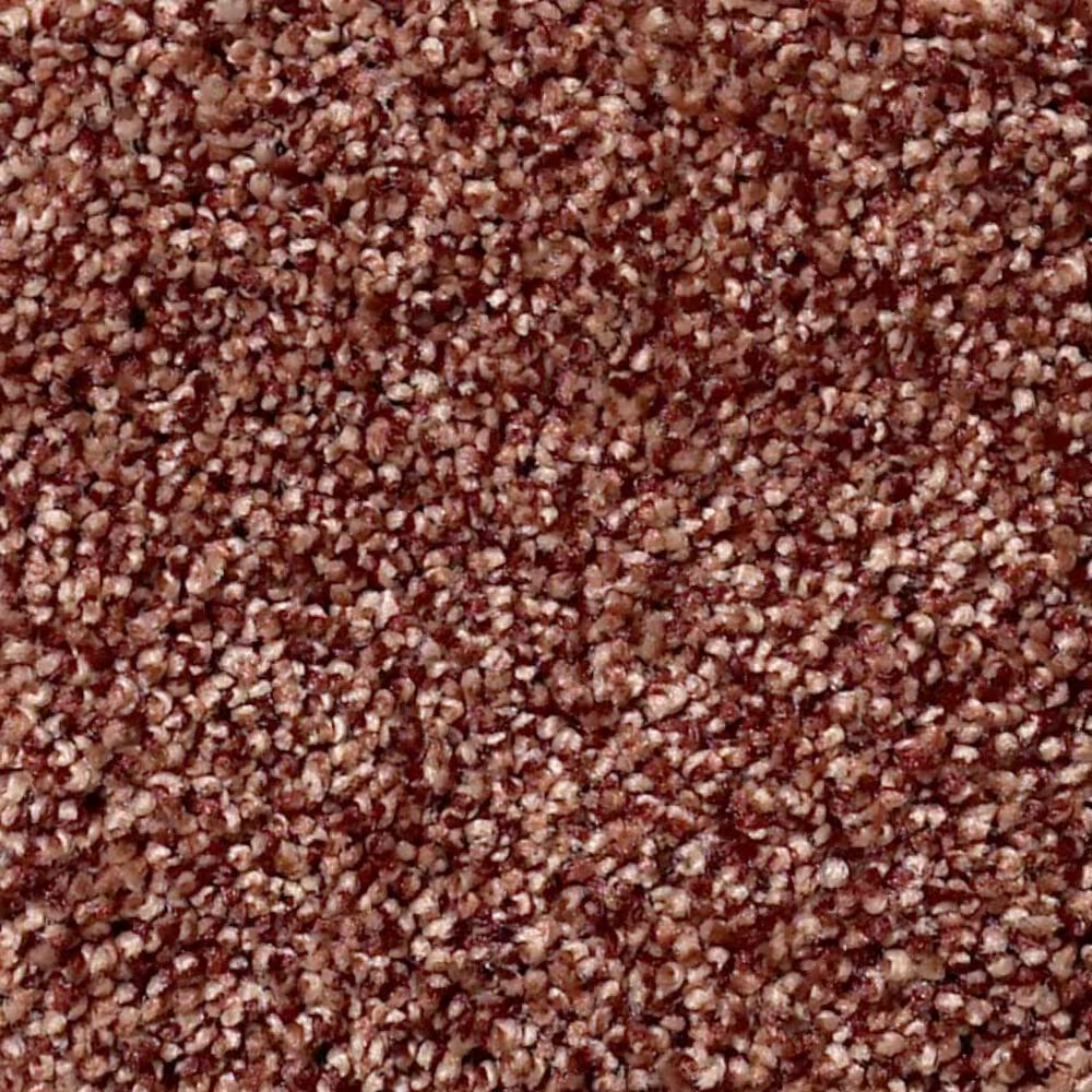 Shaw Find Your Comfort TT II Carpet in Serene Sunset