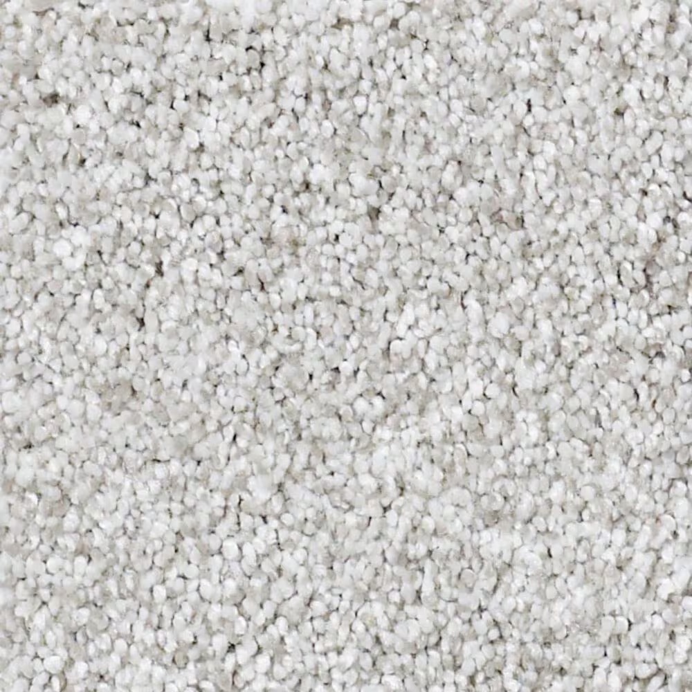 Shaw Take The Floor Tonal Blue Carpet in Classique