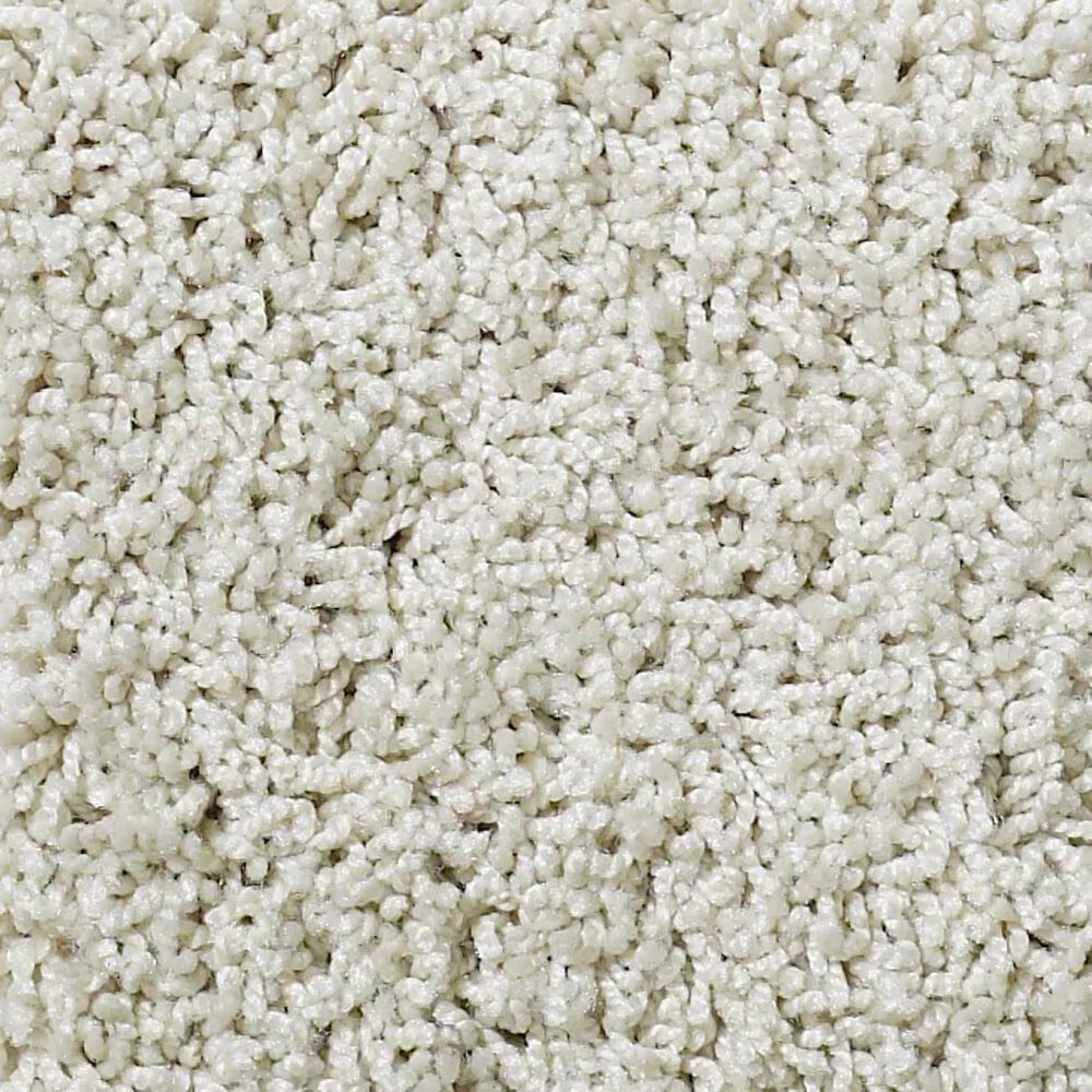 Shaw Foundations Take The Floor Twist II Carpet in Alpaca