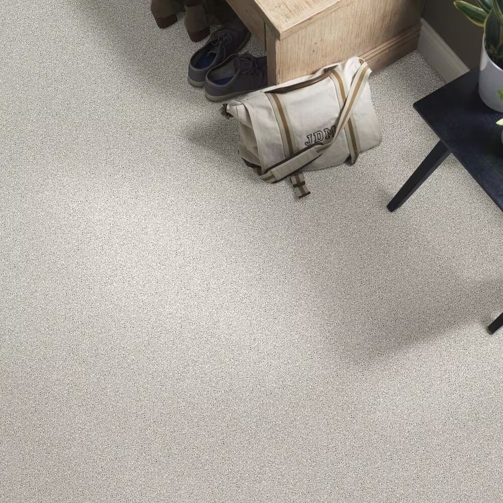 38771-shaw-foundations-take-the-floor-twist-ii-carpet-in-alpaca-1.jpg