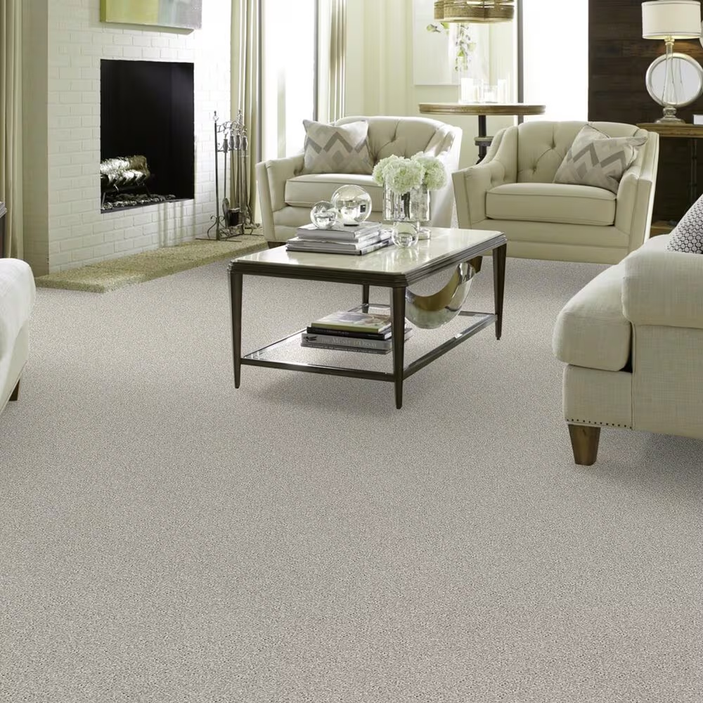 38771-shaw-foundations-take-the-floor-twist-ii-carpet-in-alpaca-1.jpg