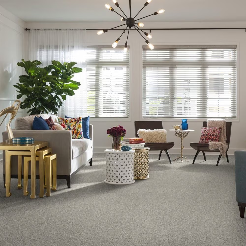 38771-shaw-foundations-take-the-floor-twist-ii-carpet-in-alpaca-1.jpg