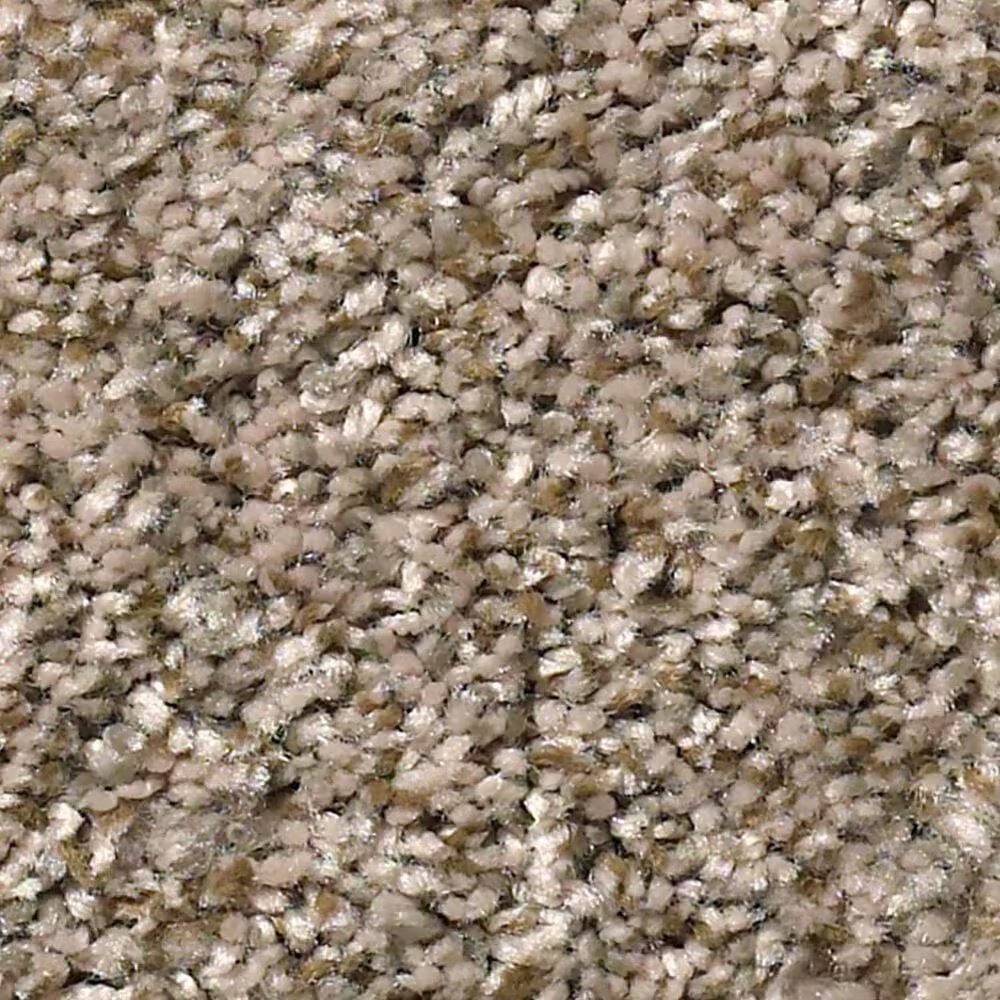 Shaw Cabana Bay (B) Carpet in Mesa
