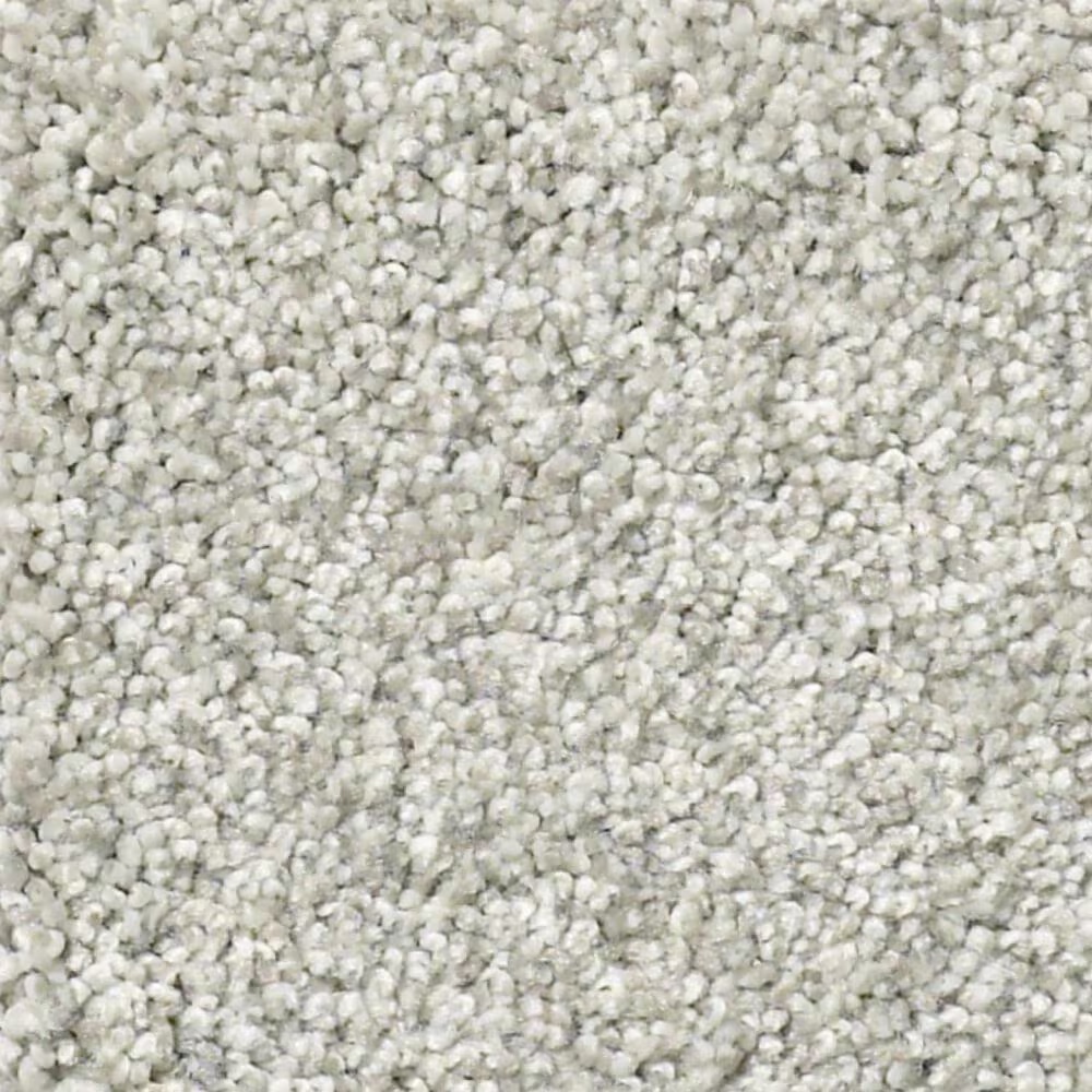 Shaw Find Your Comfort TT II Carpet in Refreshed