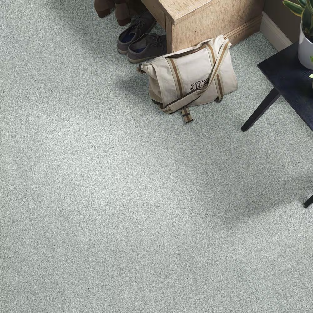38777-shaw-find-your-comfort-tt-ii-carpet-in-refreshed-1.jpg