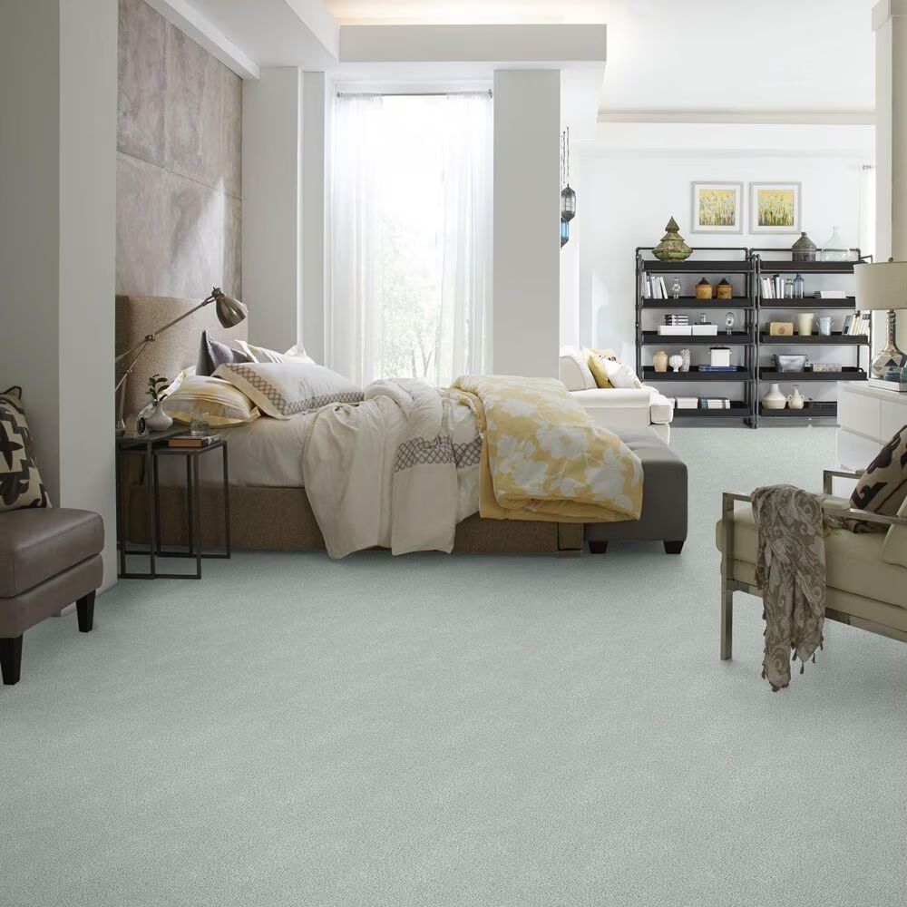 38777-shaw-find-your-comfort-tt-ii-carpet-in-refreshed-1.jpg