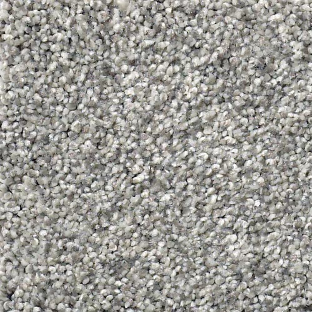 Shaw Find Your Comfort TT II Carpet in Cool Breeze