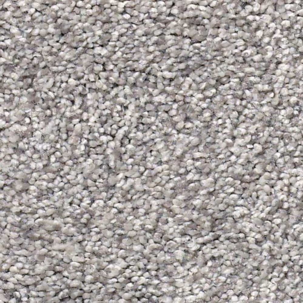 Shaw Find Your Comfort TT II Carpet in Whisper