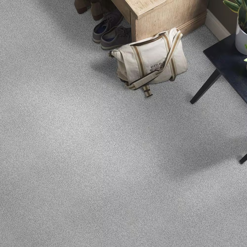 38779-shaw-find-your-comfort-tt-ii-carpet-in-whisper-1.jpg