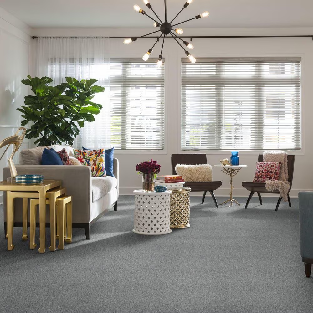 38779-shaw-find-your-comfort-tt-ii-carpet-in-whisper-1.jpg