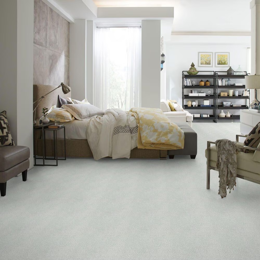 38780-shaw-find-your-comfort-tt-ii-carpet-in-morning-dew-1.jpg