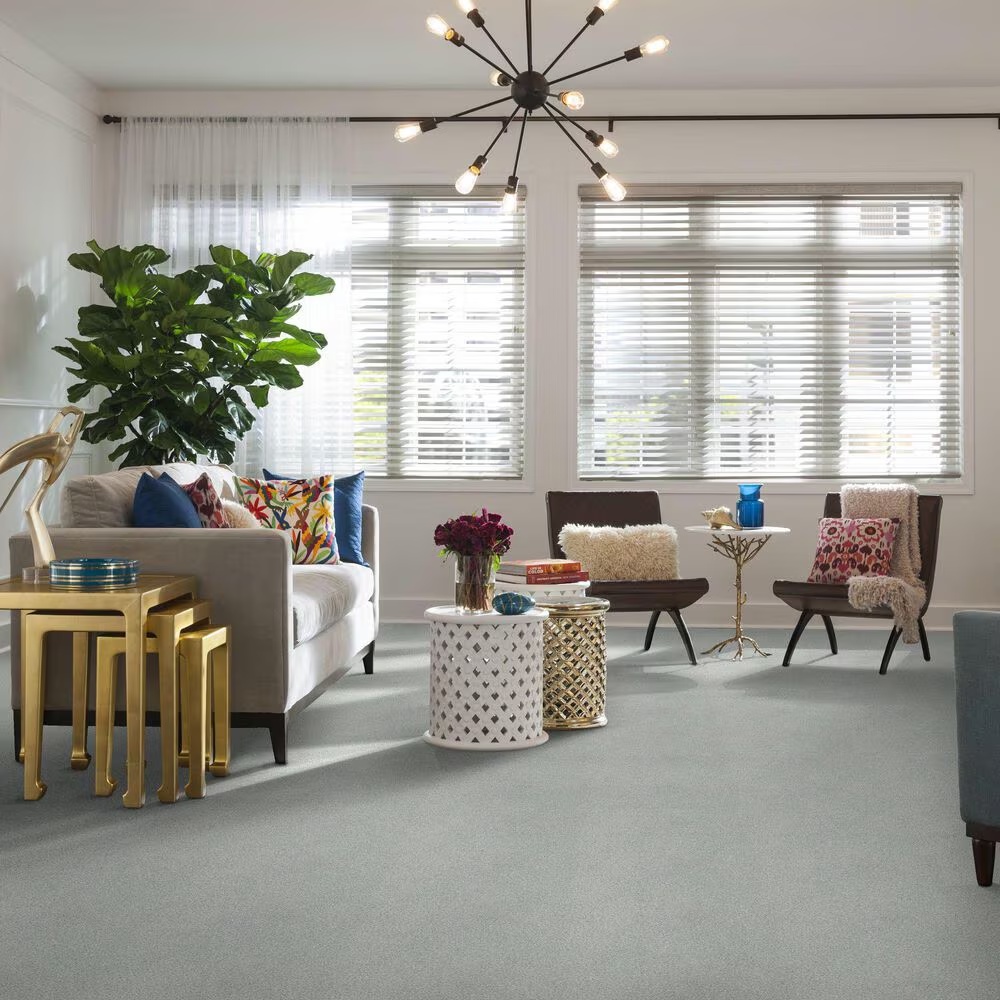 38780-shaw-find-your-comfort-tt-ii-carpet-in-morning-dew-1.jpg