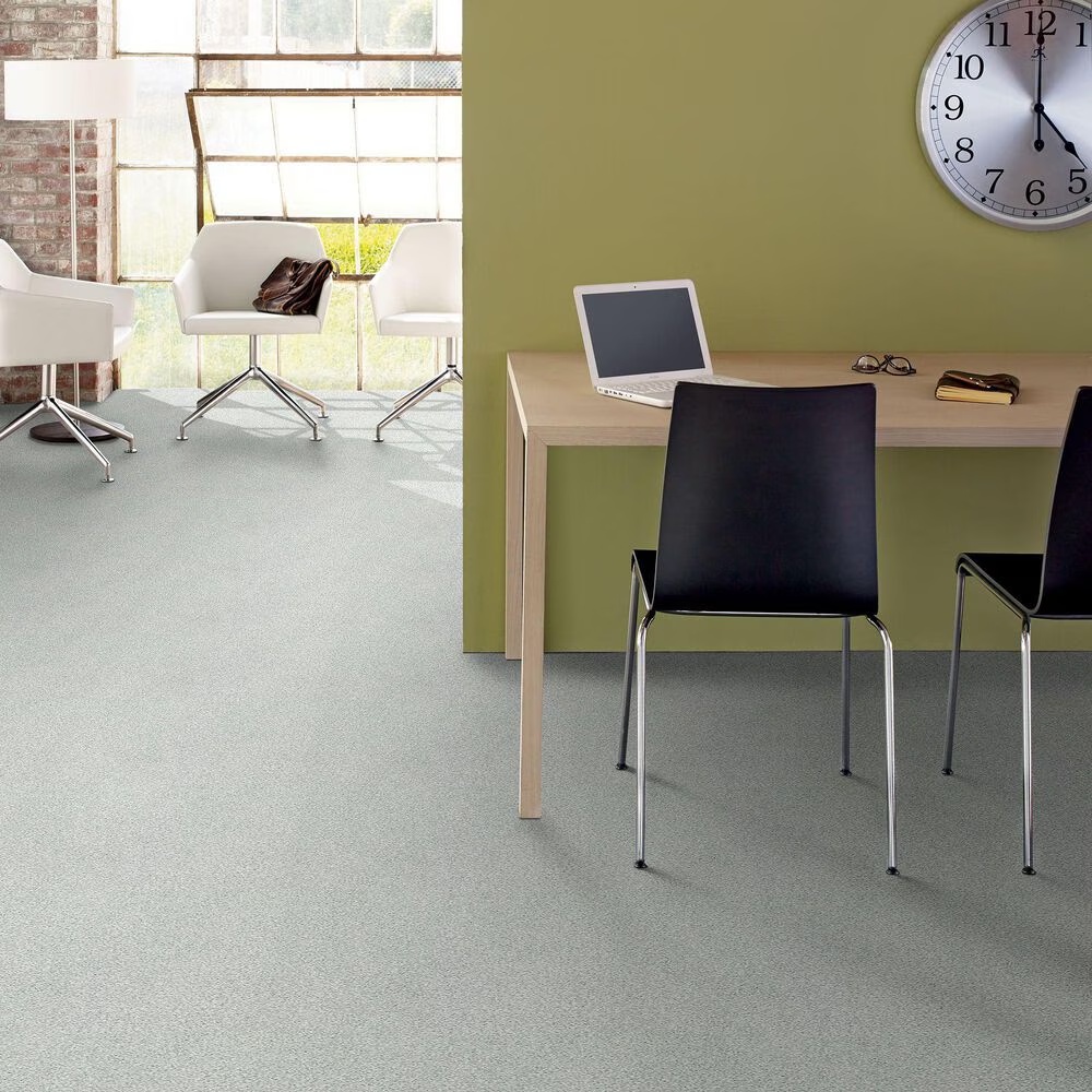 38780-shaw-find-your-comfort-tt-ii-carpet-in-morning-dew-1.jpg